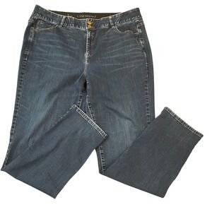 Lane Bryant Straight Jeans Womens Blue Tighter Tummy Technology 24 Long